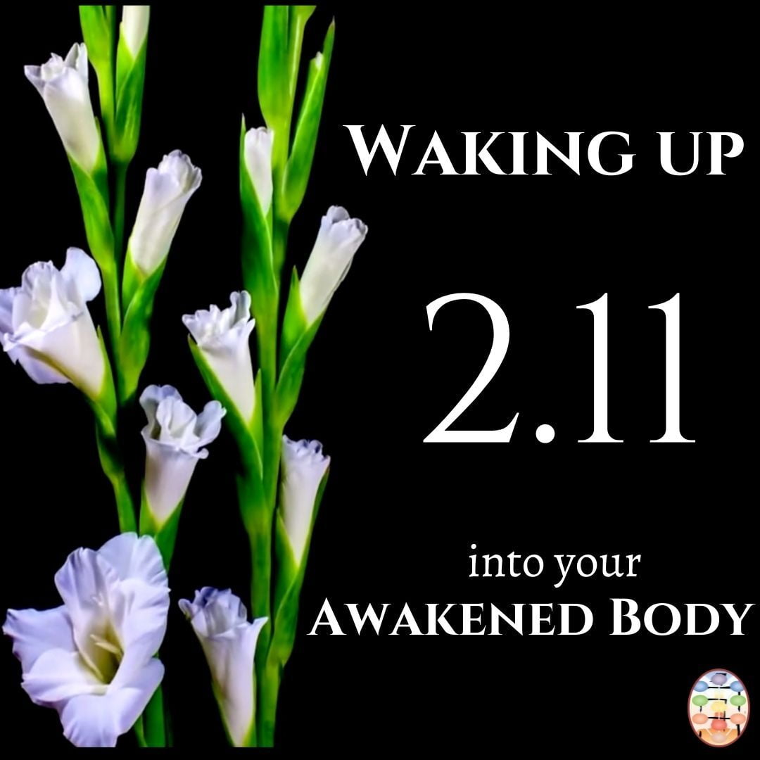 Waking Up into Your Awakened Body on February 10, 2022